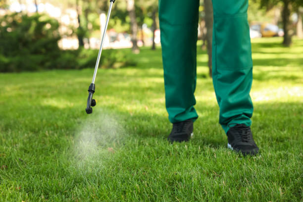 Best Commercial Pest Control Services  in Greybull, WY