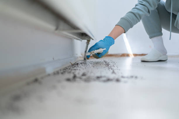 Greybull, WY Pest Control Company