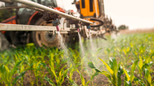 Best Pest Prevention Services  in Greybull, WY
